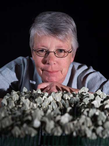 Portrait Gisela Stotzka