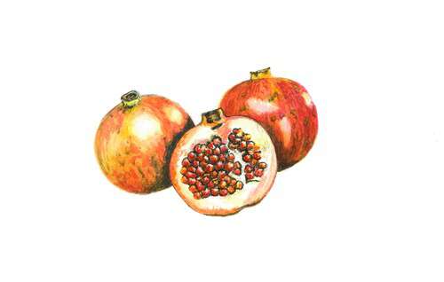 Portrait Sabine Peter